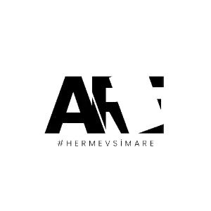 areinsaat